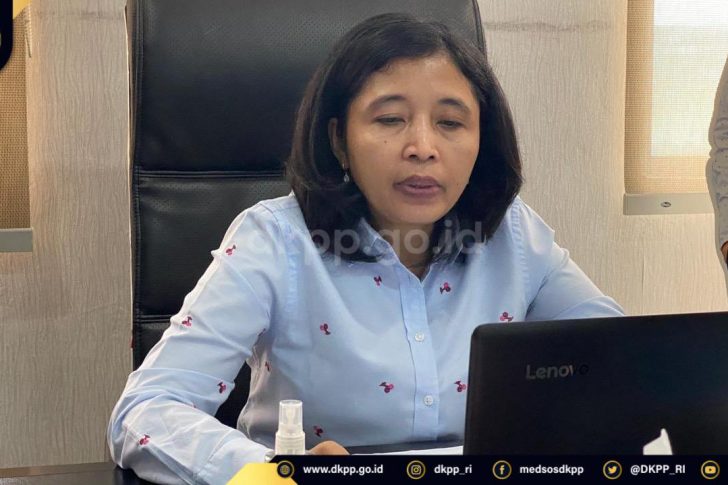 Ida Budhiati webinar DKPP ULM