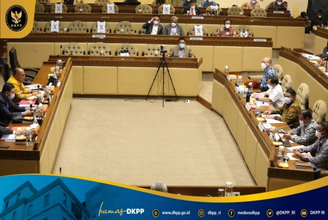 22. RDP DKPP